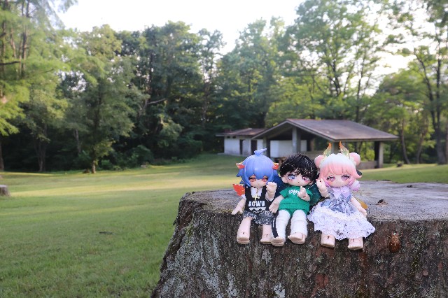 f:id:JuRi_Tei:20250804221231j:image