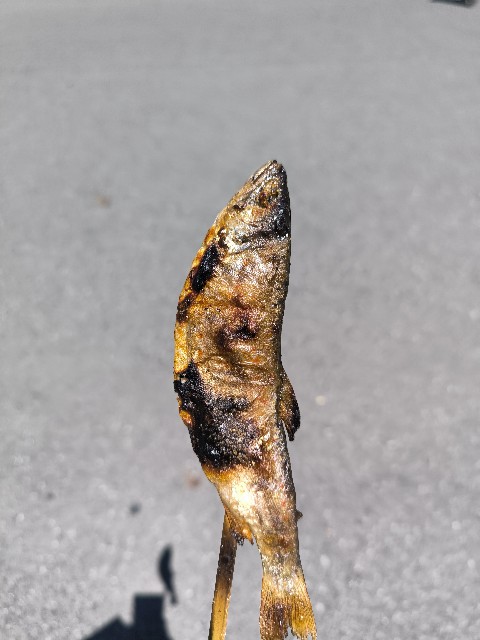 f:id:JuRi_Tei:20250804222349j:image