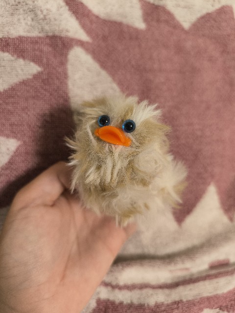 f:id:JuRi_Tei:20250908123528j:image