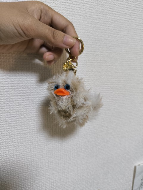 f:id:JuRi_Tei:20250908123906j:image