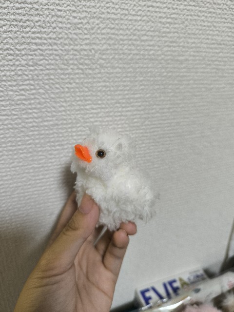 f:id:JuRi_Tei:20250908124030j:image f:id:JuRi_Tei:20250908124030j:image