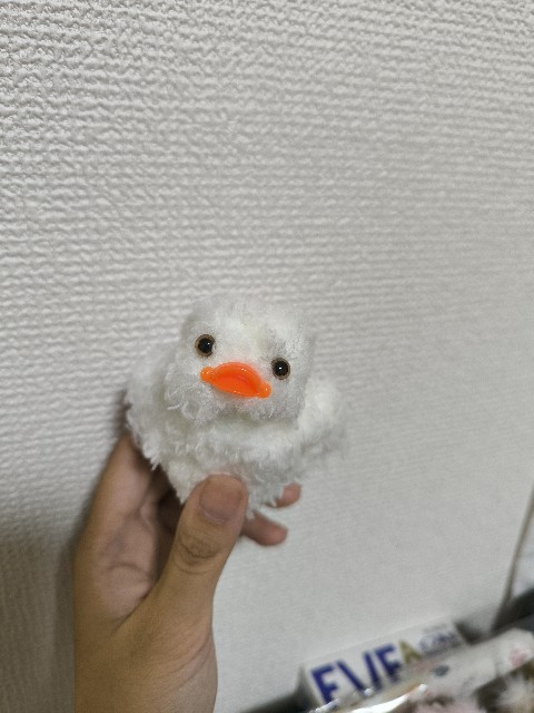 f:id:JuRi_Tei:20250908124045j:image