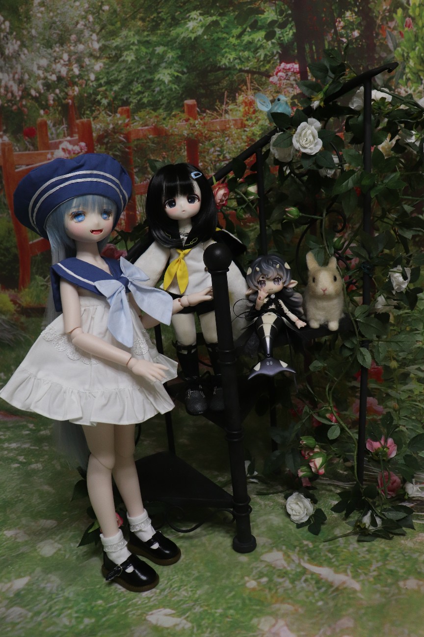 f:id:JuRi_Tei:20260131054841j:image f:id:JuRi_Tei:20260131054841j:image