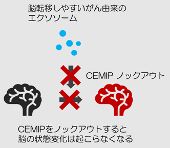 f:id:Jugem:20200102153026p:plain