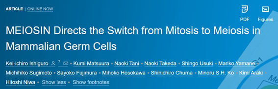 f:id:Jugem:20200210200849p:plain