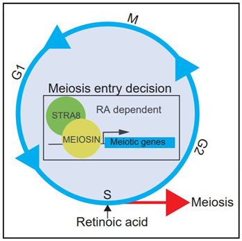 f:id:Jugem:20200210200955p:plain