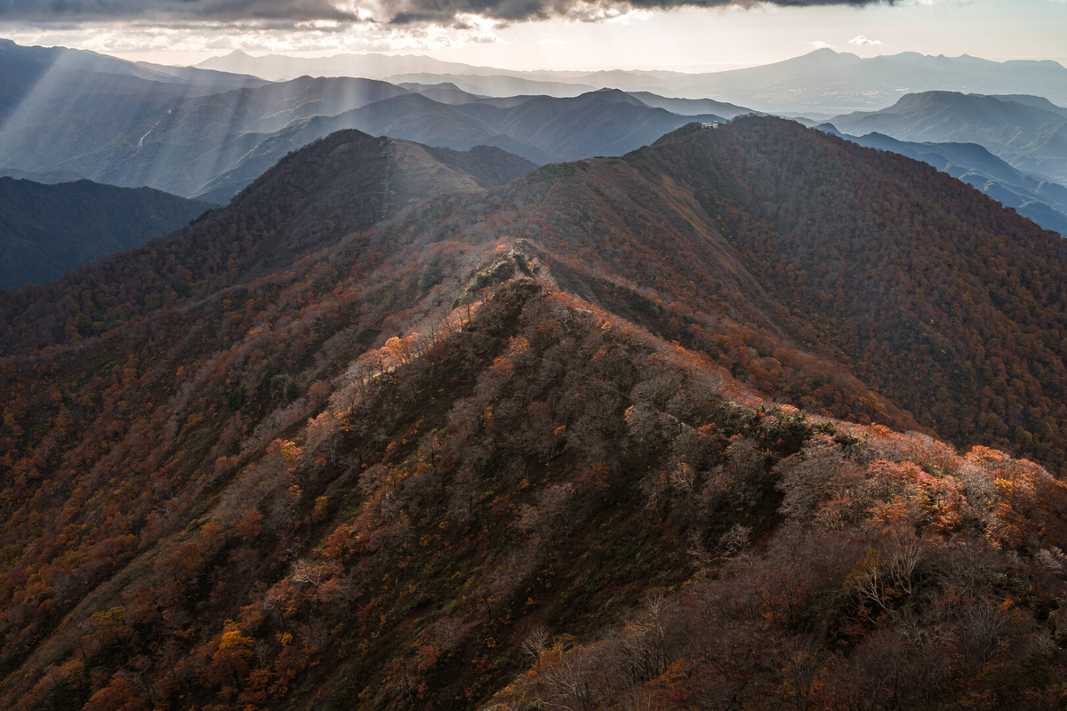 f:id:Juju_62q:20201231193428j:plain