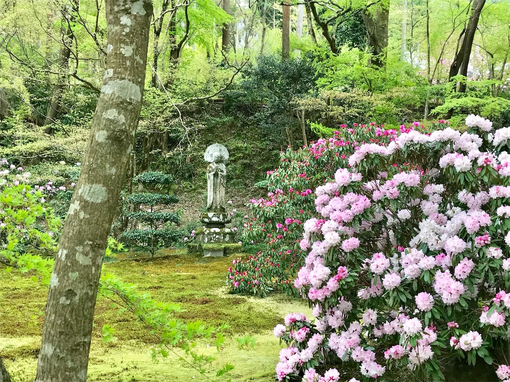 f:id:Juka:20180427103328j:image