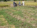20081024142526