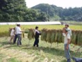 20081024142528