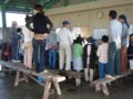 20081024153235