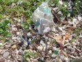 20081024153238