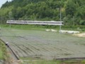 マスひも完成
