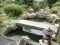 池