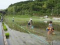 田植え