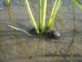 20100908175751