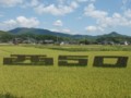 西小50周年