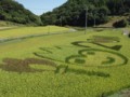 百姓・木村「ちょるる」
