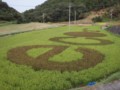 百姓・木村「eco2→」