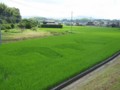 ファイト(2011.7.30)