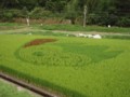 ちょるる(2011.9.3)