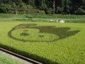 ちょるる(2011.9.14)