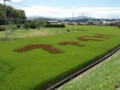 ファイト(2011.9.4)