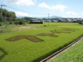 ファイト(2011.9.13)