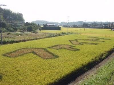 ファイト(2011.10.1)