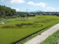 田布施キャンバス(2011.9.13)