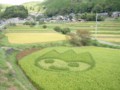 百姓・木村1
