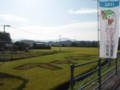のぼり（国体）