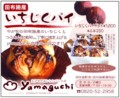 いちじくパイ・チラシ