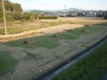 はぜかけファイト！
