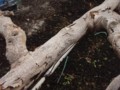 20120212000105