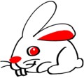 うさぎ