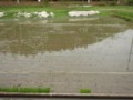 20120624010049