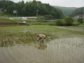 20120701010113