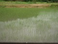 20120715234331