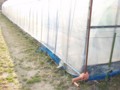 20120718010306