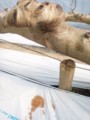 20120718010309