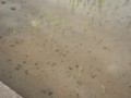 20120809011110