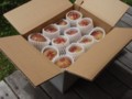 20120816021404