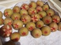 20120817024246