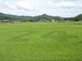 20120824231741