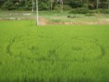 20120824231744