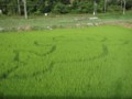 20120824231745