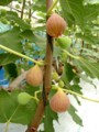 20120829122433