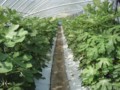 20120829122434