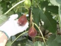 20120829143224